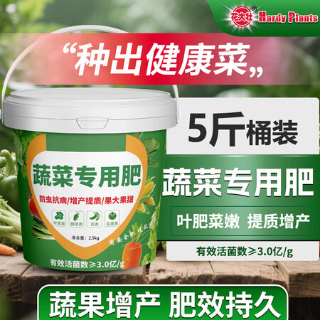 奇石收藏知识培训