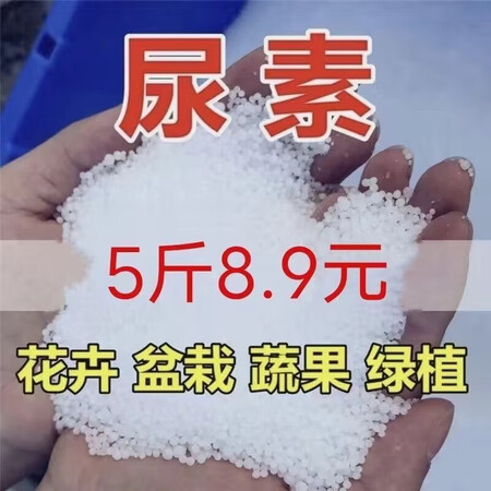 奇石鉴赏交流服务
