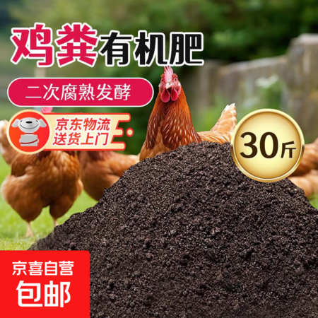 太湖石园林景石