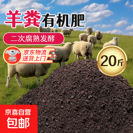 赏石文化活动组织服务